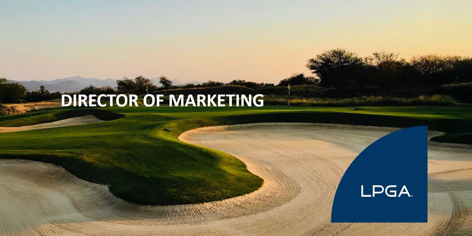 director of marketing